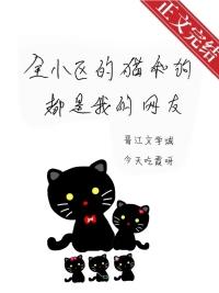 全小区的猫和狗都是我的网友156