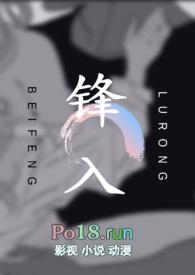 锋入糙汉1v1无删减版