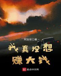我真没想到赚钱啊
