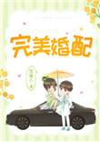 完美婚配全文免费阅读