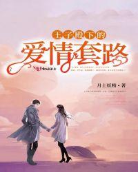 王子殿下啥意思