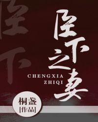 臣下之妻全文阅读