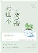 死也不离婚TXT