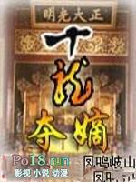 十龙夺嫡精校全本TXT