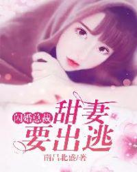 闪婚总裁甜妻要出逃内容
