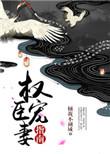 权臣宠妻番外