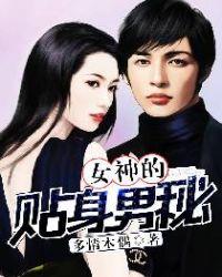 女神的贴身男秘完整版