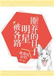 被各路明星圈养的日子txt书包