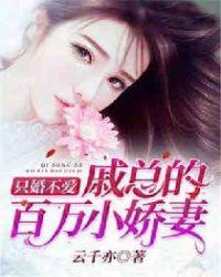 只婚不爱戚总的百万小娇妻 云千亦
