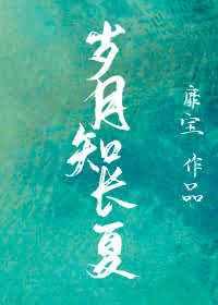 岁月知长夏免费无弹窗