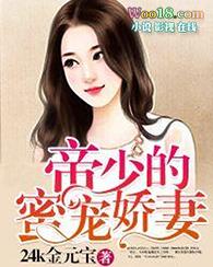 帝少的蜜宠娇妻24K元宝