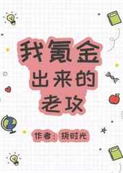 我氪金出来的老攻txt百度