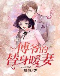 傅爷的替身暖妻结局