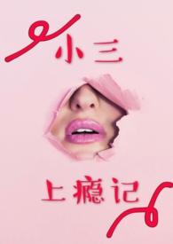 小三上瘾记29