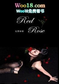a red rose