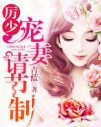 宠妻请节制 白小语