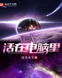 活在电脑里的人