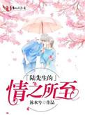 陆先生的情之所至-沐水兮-都市-红叶书斋手机阅读