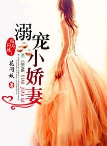 钻石闪婚溺宠小娇妻全文免费