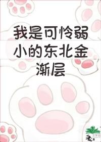 我是弱小的东北金渐层在线