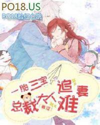 一胎三宝总裁大人超给力