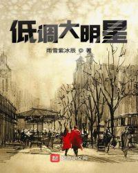 低调大明星 扫书