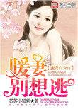 蜜爱100分宠妻成瘾