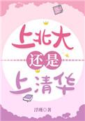 上北大还是上清华讲什么