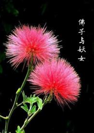 佛子与妖女在线阅读