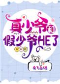 真少爷和假少爷he了 百度