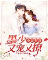 墨少又宠又撩免费