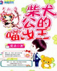 柴犬公主