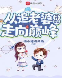 从追老婆开始走向巅峰漫画全集