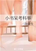 小书呆考科举作者火丁灯