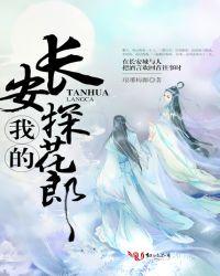 我的长安探花郎评价