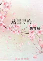 踏雪寻梅打一个人名