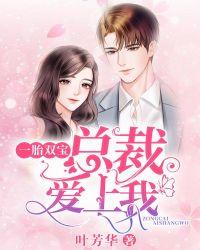 一胎双宝总裁宠妻无度