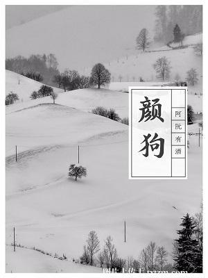 窃杳一只颜狗