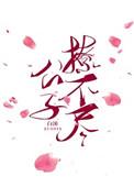 公子轻撩