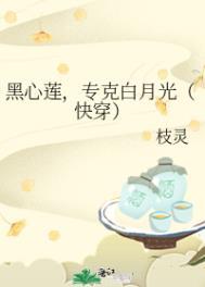 黑心莲专克白月光快穿txt