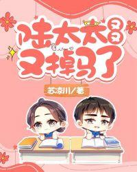 陆太太又在闹离婚了z呆呆