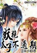 妖孽太子妃免费阅读