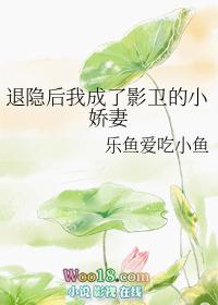 退隐后我更红了