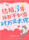 结婚三年我不知道对方是个大佬