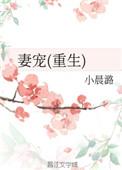 妻宠全文免费阅读全文