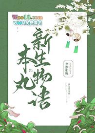 审神者的千层套路马甲伤痕