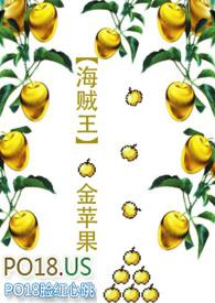 海贼王之金属果实