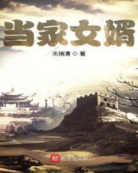 当家女婿40集免费观看