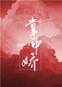 掌中娇简介