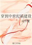 穿去中世纪搞建设
